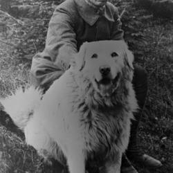 zdjecie w liście aktualnosci