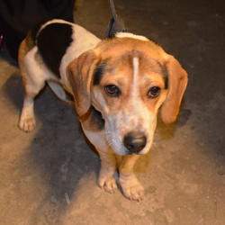 zdjecie w liście aktualnosci