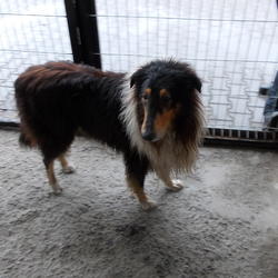 zdjecie w liście aktualnosci