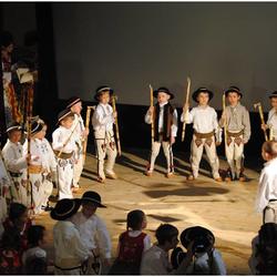 zdjecie w liście aktualnosci