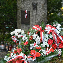 zdjecie w liście aktualnosci