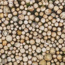 zdjecie w liście aktualnosci