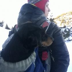 zdjecie w liście aktualnosci