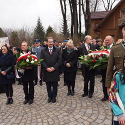 zdjecie w liście aktualnosci