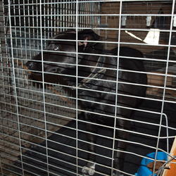 zdjecie w liście aktualnosci