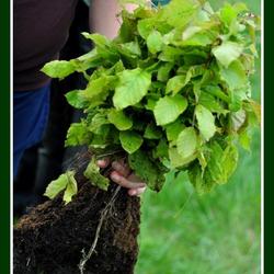 zdjecie w liście aktualnosci