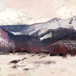 zdjecie w liście aktualnosci