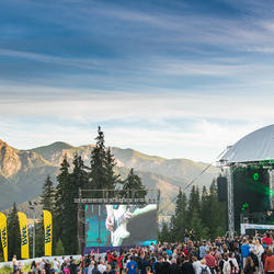 zdjecie w liście aktualnosci