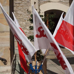 zdjecie w liście aktualnosci