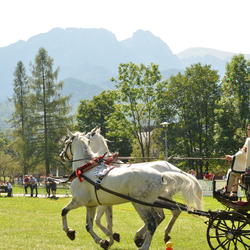 zdjecie w liście aktualnosci