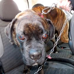 zdjecie w liście aktualnosci