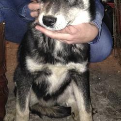 zdjecie w liście aktualnosci