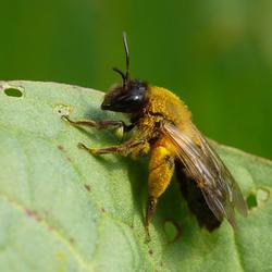 zdjecie w liście aktualnosci