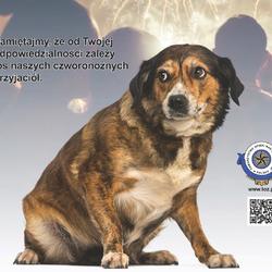 zdjecie w liście aktualnosci