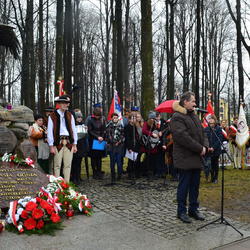 zdjecie w liście aktualnosci