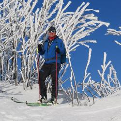 zdjecie w liście aktualnosci