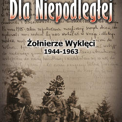 zdjecie w liście aktualnosci