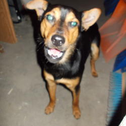 zdjecie w liście aktualnosci