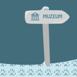 zdjecie w liście aktualnosci