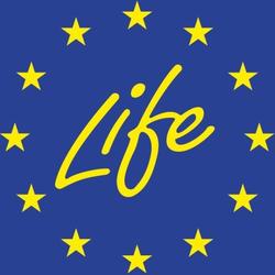 zdjecie w liście aktualnosci