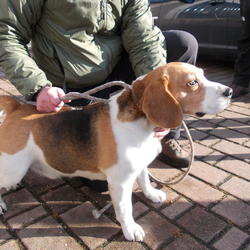 zdjecie w liście aktualnosci