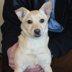 zdjecie w liście aktualnosci