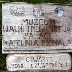 zdjecie w liście aktualnosci