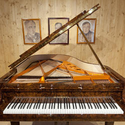 zdjecie w liście aktualnosci