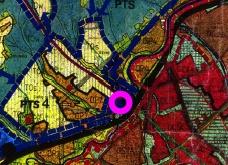 zdjecie w liście aktualnosci