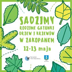 zdjecie w liście aktualnosci
