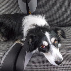 zdjecie w liście aktualnosci