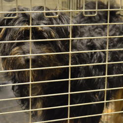 zdjecie w liście aktualnosci