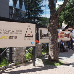 zdjecie w liście aktualnosci