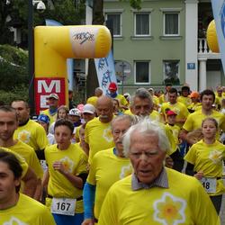 zdjecie w liście aktualnosci