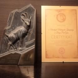 zdjecie w liście aktualnosci