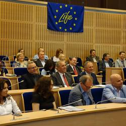 zdjecie w liście aktualnosci