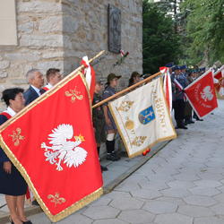 zdjecie w liście aktualnosci