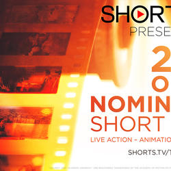 zdjecie w liście aktualnosci