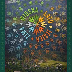 zdjecie w liście aktualnosci