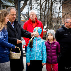 zdjecie w liście aktualnosci