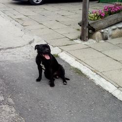 zdjecie w liście aktualnosci