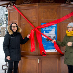 zdjecie w liście aktualnosci