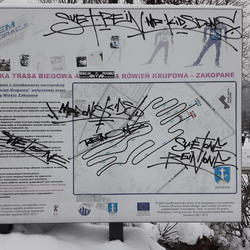 zdjecie w liście aktualnosci