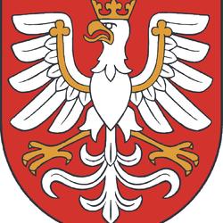 zdjecie w liście aktualnosci
