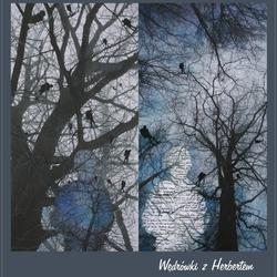 zdjecie w liście aktualnosci