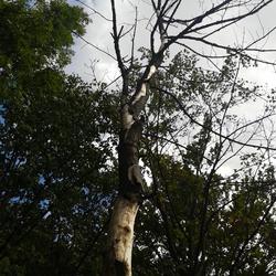 zdjecie w liście aktualnosci