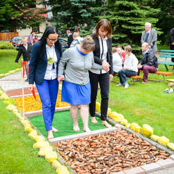 zdjecie w liście aktualnosci