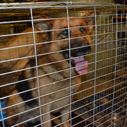 zdjecie w liście aktualnosci