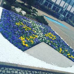 zdjecie w liście aktualnosci