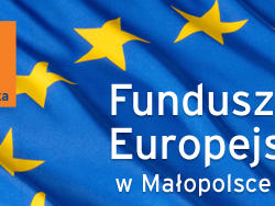 zdjecie w liście aktualnosci